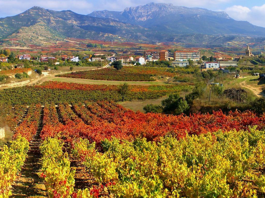 Casa Rural De Legarda Briñas Εξωτερικό φωτογραφία